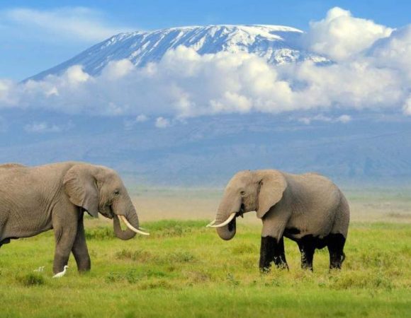 What Is Special About Samburu National Reserve?
