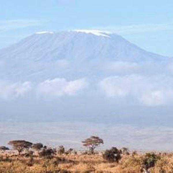 7-Day Mara-Nakuru-Naivasha-Amboseli Group Tour