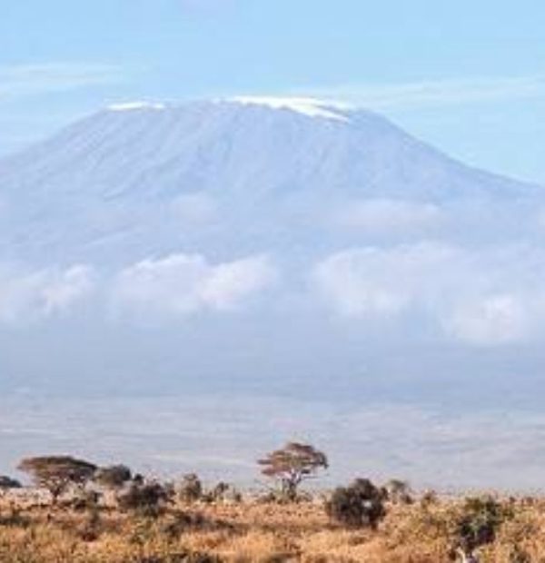 7-Day Mara-Nakuru-Naivasha-Amboseli Group Tour
