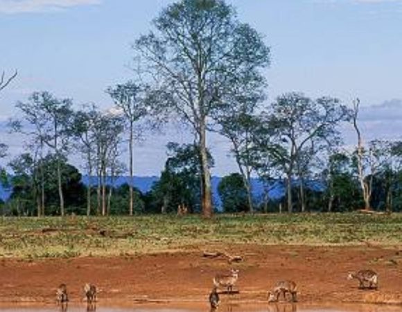 5-Day Masai Mara, Lake Nakuru, Lake Naivasha Group Tour